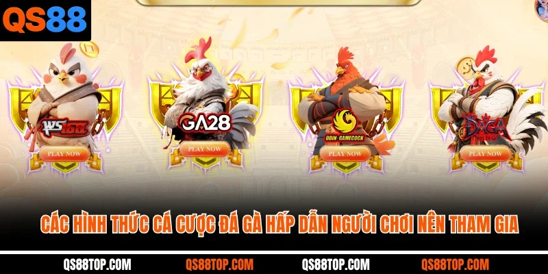 Các hình thức cá cược đá gà hấp dẫn người chơi nên tham gia