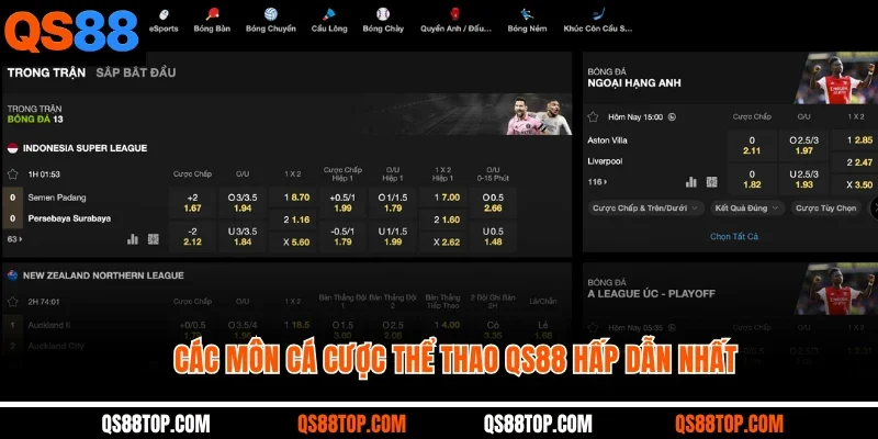 Các môn cá cược thể thao QS88 hấp dẫn nhất