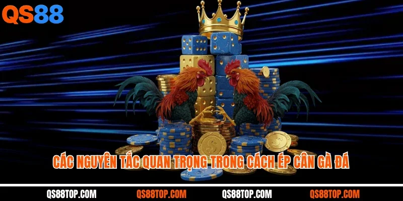 Các nguyên tắc quan trọng trong cách ép cân gà đá