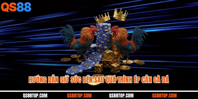 Hướng dẫn giữ sức bền sau quá trình ép cân gà đá