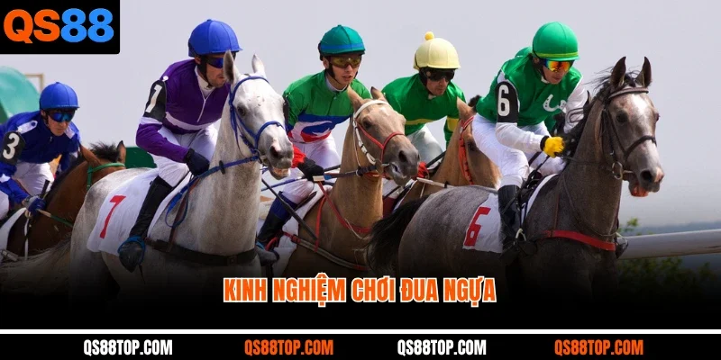 Bí Kíp Vàng: Kinh Nghiệm Chơi Đua Ngựa Ai Cũng Phải Biết