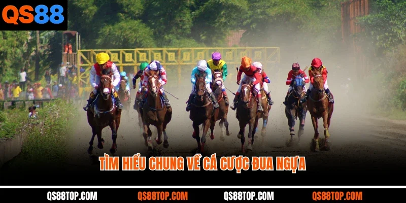 Tìm hiểu chung về cá cược đua ngựa